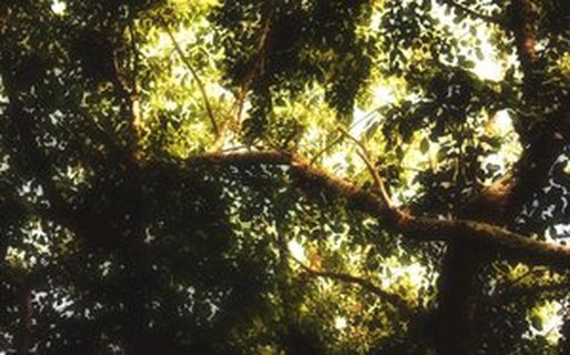 监控告警的商业价值分析